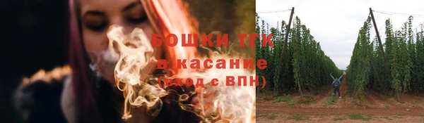 ГАЛЛЮЦИНОГЕННЫЕ ГРИБЫ Арсеньев