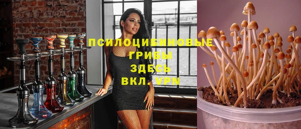 МДМА Алексин