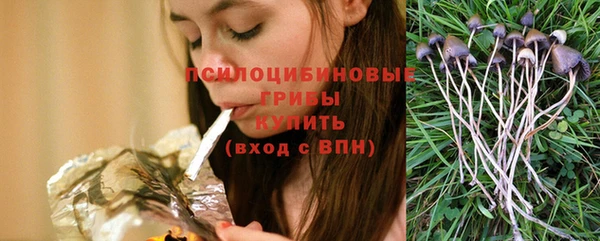 ГАЛЛЮЦИНОГЕННЫЕ ГРИБЫ Арсеньев