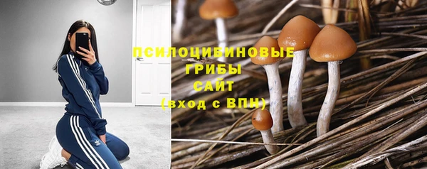 ГАЛЛЮЦИНОГЕННЫЕ ГРИБЫ Арсеньев