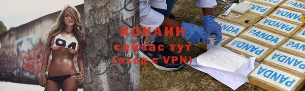 ГАЛЛЮЦИНОГЕННЫЕ ГРИБЫ Арсеньев