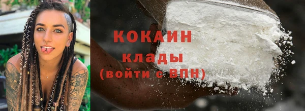 ГАЛЛЮЦИНОГЕННЫЕ ГРИБЫ Арсеньев