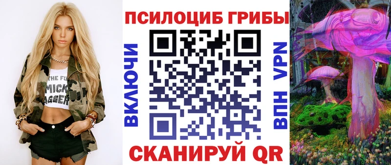 Псилоцибиновые грибы Magic Shrooms  Купить где  Аркадак 